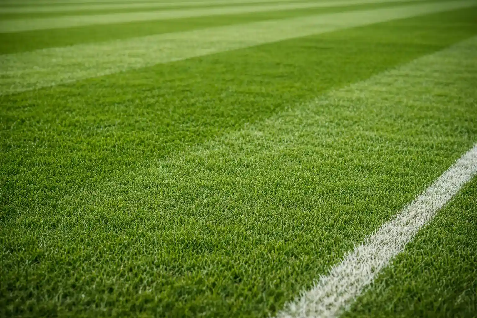 Close-up of well-maintained football pitch grass surface